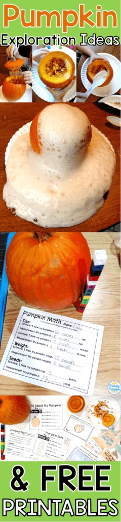 Pumpkin exploration is such a fun, hands on, engaging activity for your classroom! Students will love investigating their pumpkins in October! Math, science, reading, and writing activities all in one fun, cross-curricular day!