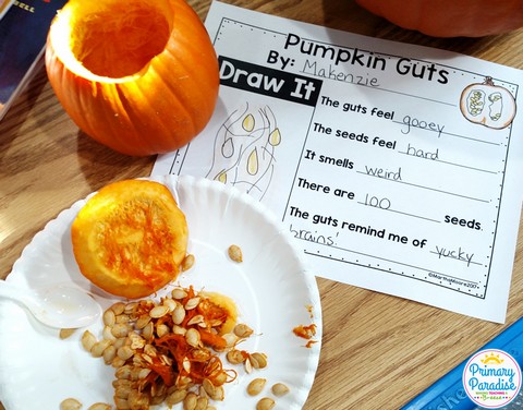Pumpkin exploration is such a fun, hands on, engaging activity for your classroom! Students will love investigating their pumpkins in October! Math, science, reading, and writing activities all in one fun, cross-curricular day!