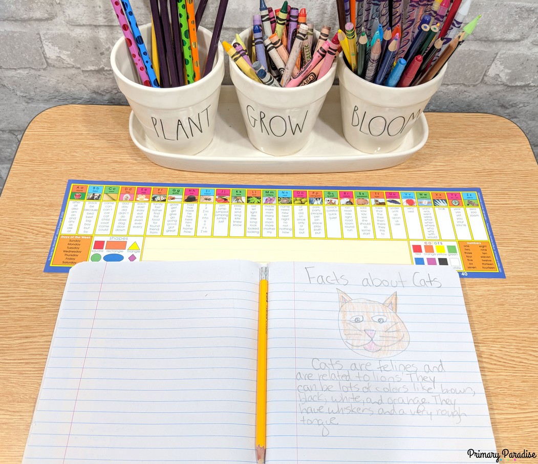 Word wall are a great tool in theory, but students often don’t actually use them! Read to learn a simple solution to a widespread classroom problem.