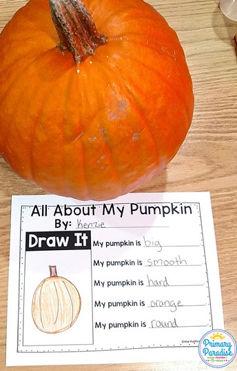Adjective Pumpkin Activities: Pumpkin exploration (All About my Pumpkin) is such a fun, hands on, engaging activity for your classroom! Students will love investigating their pumpkins in October! Math, science, reading, and writing activities all in one fun, cross-curricular day!