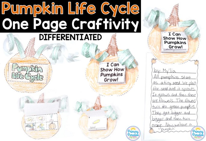 Pumpkin life cycle craft- Pumpkin exploration is such a fun, hands on, engaging activity for your classroom! Students will love investigating their pumpkins in October! Math, science, reading, and writing activities all in one fun, cross-curricular day!