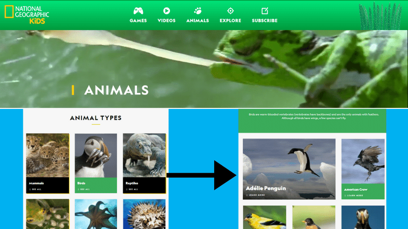 An image of the national geographic kids animal section page.