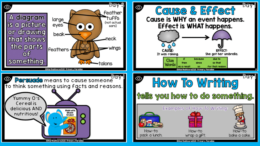 a diagram poster, cause and effect poster, persuade poster, and how to writing poster