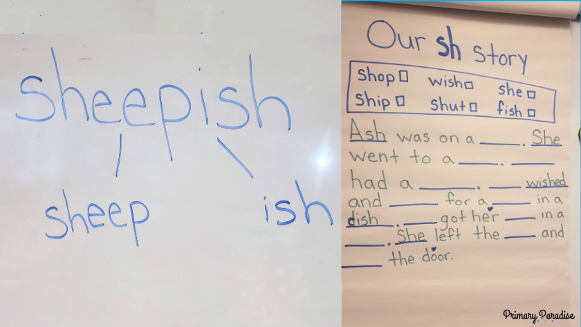 A split photo: on the left, the word sheepish broken into two syllables. On the right A "sh" story with blanks for missing words.