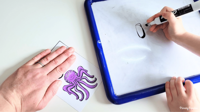 A picture of an adult hand covering up half of a flashcard. On the bottom you can see a picture of an octopus. To the right, a child is writing an o on a small white board.