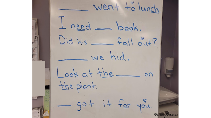 A white board with sentences with blanks in them. Blank went to lunch. I need blank book. Did his blank fall out? Blank we hid. Look at the blank on the plant. Blank got it for you.
