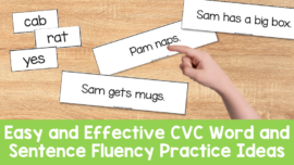 Easy and Effective CVC Word and Sentence Fluency Practice Ideas