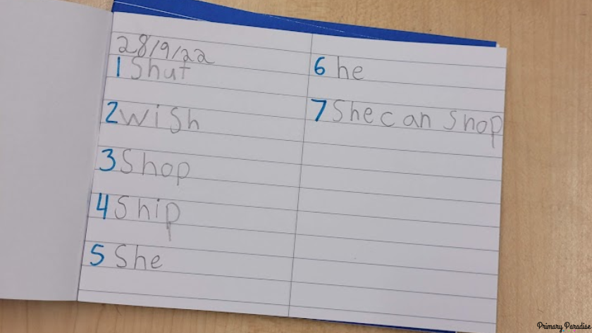 A spelling check is shown with the words shut, wish, shop, ship, she, he and the sentence She can shop.