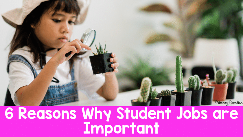 6 Reasons Why Student Jobs are So Important