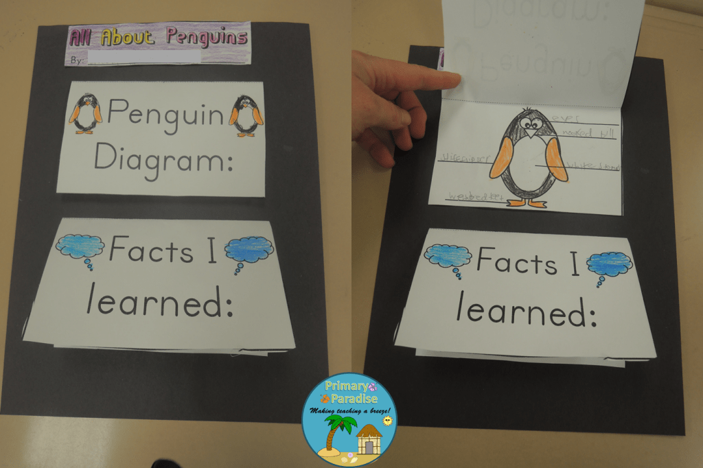 Penguin Flip Book Complete