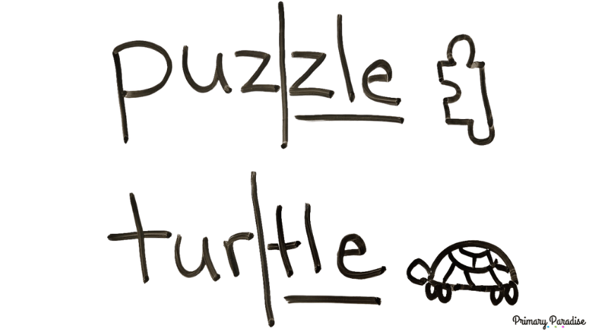 puzzle and turtle