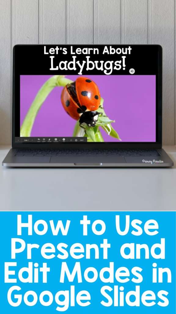An image of a laptop with a picture of a ladybug and the text "Let's learn about ladybugs!" Underneath there's text that reads, "How to Use Present and Edit Modes in Google Slides"